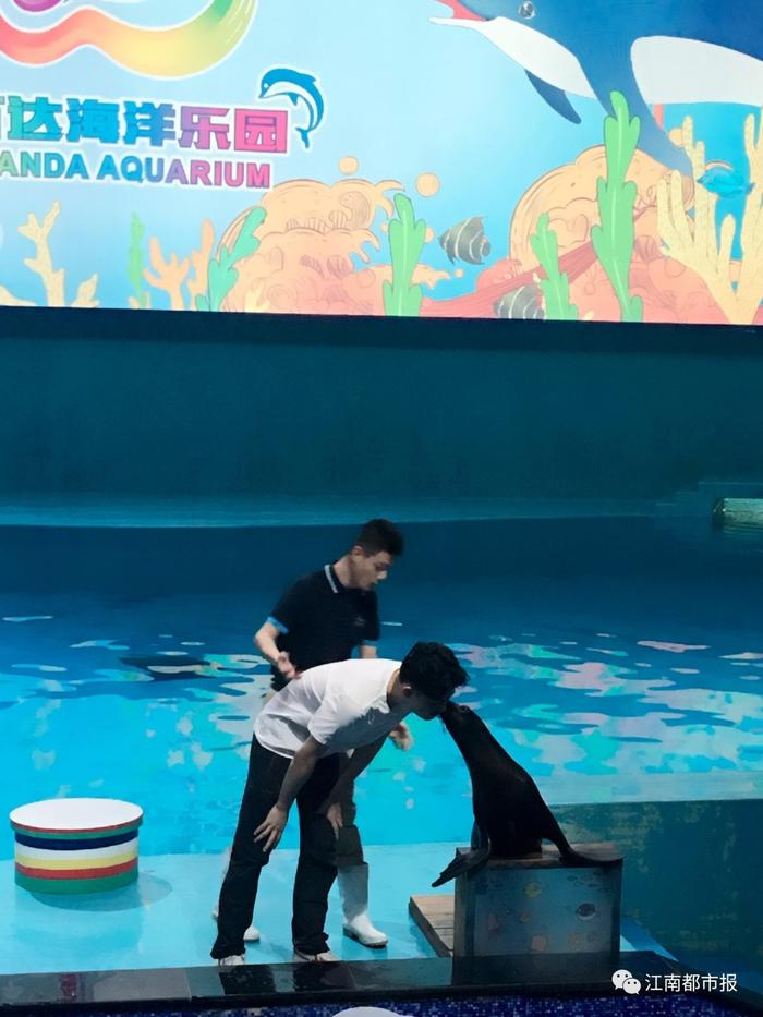 足球巡回赛，江南海豚队与渝州铁骑队鏖战，VAR改判成焦点！节奏掌控在手的简单介绍