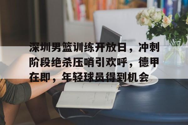 开云体育网址-深圳男篮训练开放日，冲刺阶段绝杀压哨引欢呼，德甲在即，年轻球员得到机会的简单介绍
